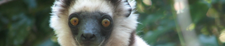 Alan Irwin’s Blog header image 2